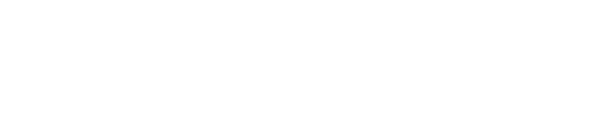 Eagleviz Technologies